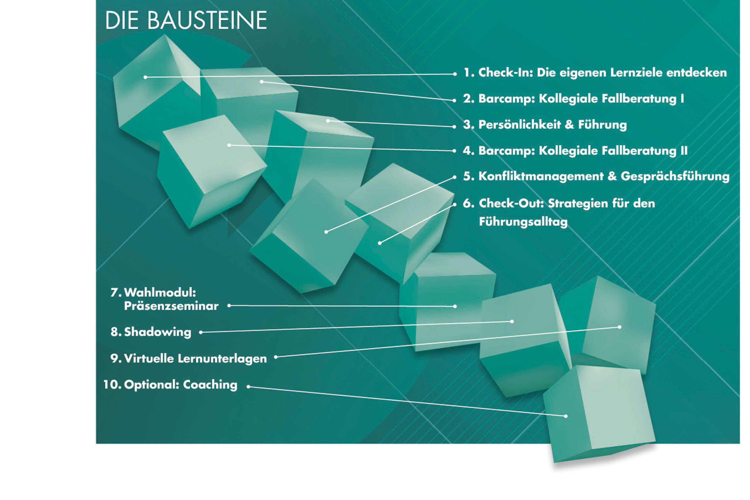 Grüne Würfel mit nummerierten Themen wie Check-In und Coaching auf grünem Hintergrund.